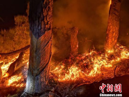 云南丽江玉龙山火灾得到控制 320人参与扑救