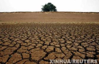 澳大利亚因持续干旱，12年来首次放行粮食进口