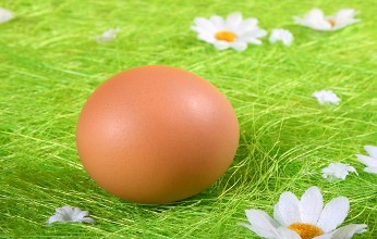 研究发现每天吃一个鸡蛋 ，可以减少一半发育不良的概率