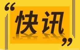 广州国潮品牌发展强劲 广州酒家中报业绩大增45%
